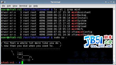 Linux Mint 5 XFCE Community Edition RC1 (BETA 025) 本月17日開始發(fā)布