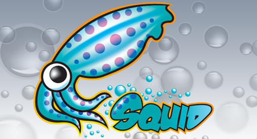 關于linux中Squid代理服務器的10個實用面試問答