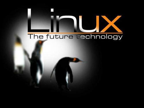 四大妙招讓新手逐漸掌握linux系統(tǒng)維護(hù)