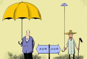 大公司？小公司？我的經(jīng)歷和建議